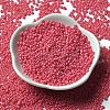 Baking Paint Glass Seed Beads SEED-P006-03A-08-2