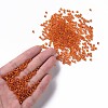 8/0 Glass Seed Beads SEED-A005-3mm-29-4
