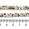 Natural Dalmatian Jasper Beads Strands G-M403-A31-02-5