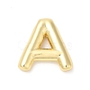 Eco-Friendly Rack Plating Brass Pendants KK-R143-21G-A-1