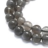 Natural Grey Moonstone Beads Strands G-K245-A05-02-3