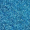 Glass Seed Beads SEED-A006-2mm-103B-2