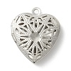 Non-Tarnish 304 Stainless Steel Diffuser Locket Pendants STAS-K002-08P-1