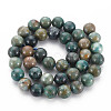 Natural Chrysocolla Beads Strands G-S376-004C-2