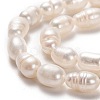 Natural Cultured Freshwater Pearl Beads Strands PEAR-L033-68-01-2