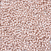 Glass Seed Beads SEED-S060-A-F407-3