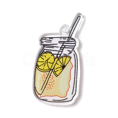 Transparent Printed Acrylic Pendants TACR-G042-01D-1