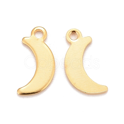 201 Stainless Steel Charms STAS-K217-09G-1