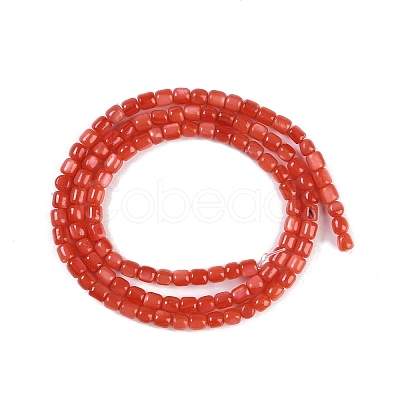 Natural Freshwater Shell Beads Strands BSHE-H109-04-1