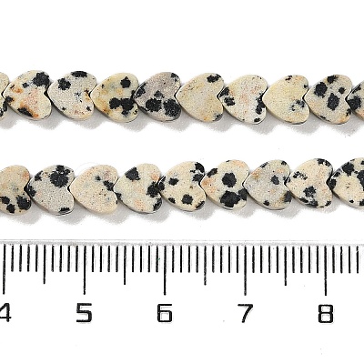 Natural Dalmatian Jasper Beads Strands G-M403-A31-02-1