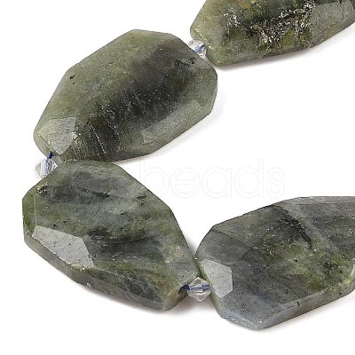 Natural Labradorite Beads Strands G-P548-B14-01-1