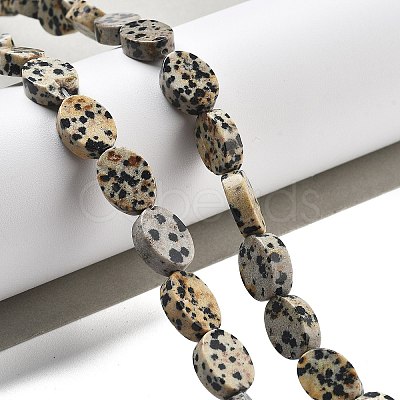 Natural Dalmatian Jasper Beads Strands G-P559-B08-01-1