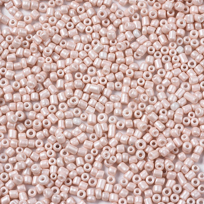 Glass Seed Beads SEED-S060-A-F407-1