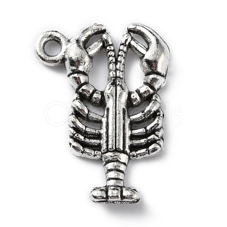 Tibetan Style Alloy Pendants FIND-WH0108-30AS-1