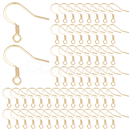 SUNNYCLUE 100Pcs 304 Stainless Steel French Earring Hooks STAS-SC0004-65-1