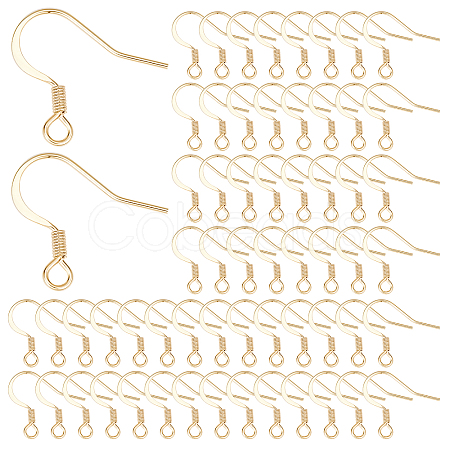 SUNNYCLUE 100Pcs 304 Stainless Steel French Earring Hooks STAS-SC0004-65-1