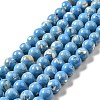 Synthetic Turquoise and Sea Shell Assembled Beads Strands G-D482-01D-04-2