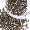 Grade A Glass Seed Beads SEED-S022-04A-23-1