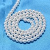 Round Shell Pearl Bead Strands BSHE-L011-2.5mm-A013-3