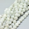 Natural White Moonstone Beads Strands G-F674-08-8mm-1