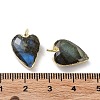 Natural Mixed Stone Pendants G-G012-11G-B-4