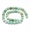 Natural Amazonite Beads Strands G-F632-25-03-1