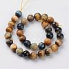 Natural Dream Tiger Eye Beads Strands G-G898-12mm-2