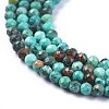 Natural Magnesite Beads Strands TURQ-F017-01B-3