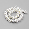 Shell Pearl Beads Strands BSHE-K010-04A-2