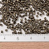 MIYUKI Delica Beads Small SEED-X0054-DBS0022-4