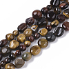 Natural Tiger Eye Beads Strands G-S363-031-1