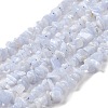 Natural Blue Lace Agate Chip Beads Strands X-G-E271-73-01-1