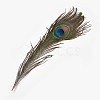 Natural Peacock Feather AJEW-TA0013-08-2