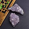 Electroplate Natural Drusy Amethyst Display Decorations PW-WG62588-01-3