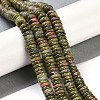 Natural Unakite Beads Strands G-Q159-B15-01-2