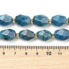 Natural Apatite Beads Strands G-P541-A01-06-4