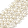 Natural Cultured Freshwater Pearl Beads Strands PEAR-A006-24-1