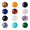 Fashewelry 24Pcs 12 Style Natural & Synthetic Gemstone Cabochons G-FW0001-05-3