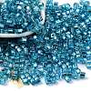 Glass Seed Beads SEED-M011-01A-14-1