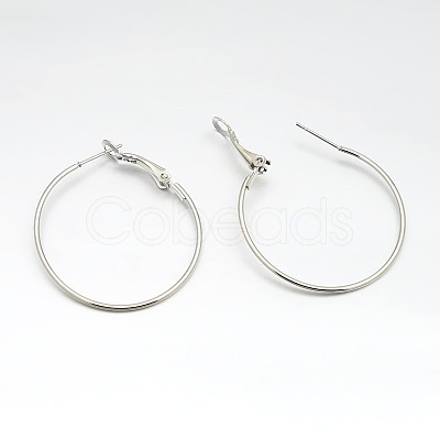 Iron Hoop Earrings E220-1