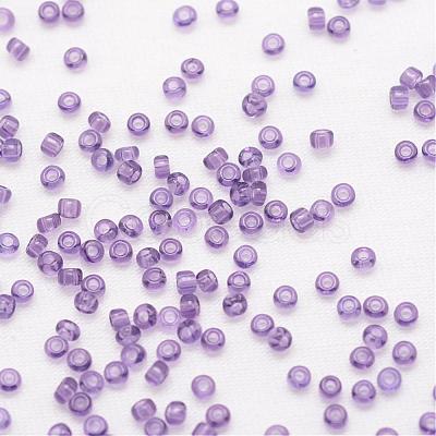 8/0 Glass Seed Beads SEED-J013-F8-13-1