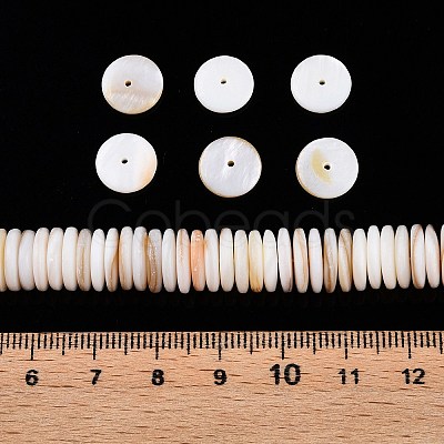 Natural Freshwater Shell Beads Strands SSHEL-T017-02-1