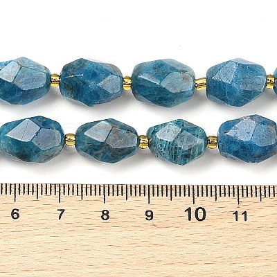 Natural Apatite Beads Strands G-P541-A01-06-1