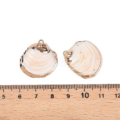 Natural Sea Shell Pendants SSHEL-N038-20-1