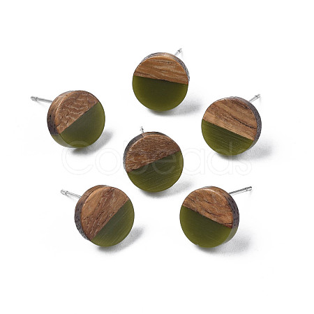 Opaque Resin & Walnut Wood Stud Earrings X-EJEW-N017-008-B08-1