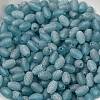 Transparent Colours Glass Seed Beads SEED-F006-03A-11-3