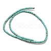 Natural Turquoise Beads Strands G-C084-D10-02-3