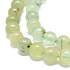 Natural Prehnite Beads Strands G-O201A-06E-3