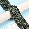 Natural African Turquoise(Jasper) Beads Strands G-G002-A03-2