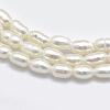 Natural Cultured Freshwater Pearl Beads Strands PEAR-F007-83-3